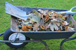 wheelbarrow-3794784_640